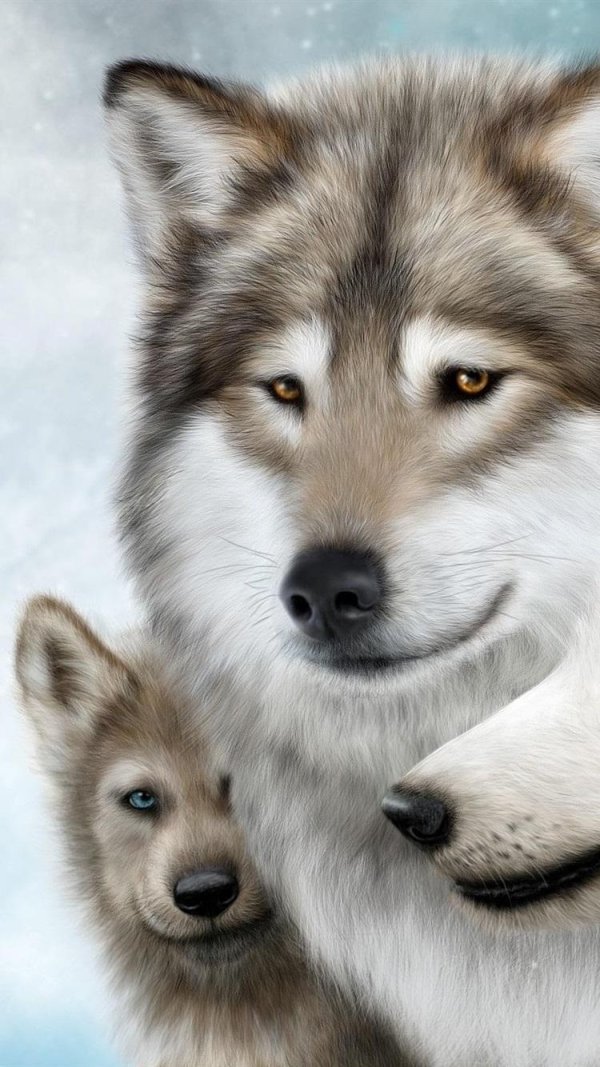 волчья семья