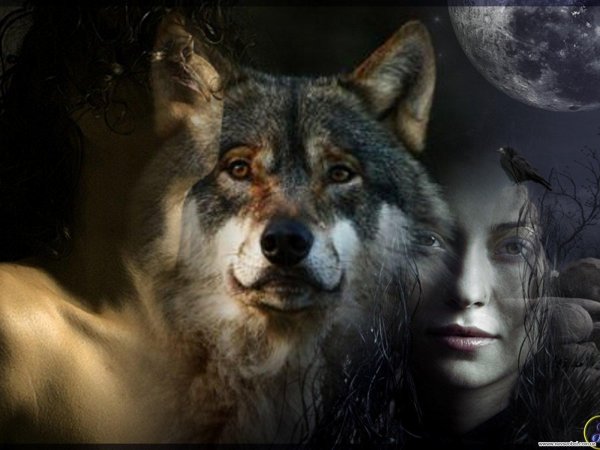 девушка волчица