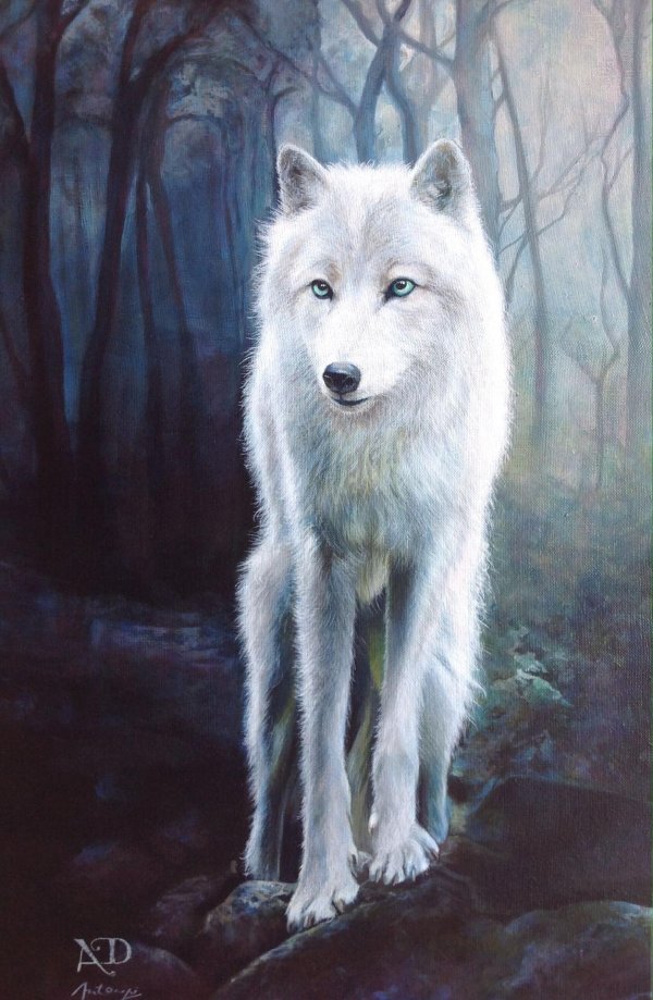 волчица белая