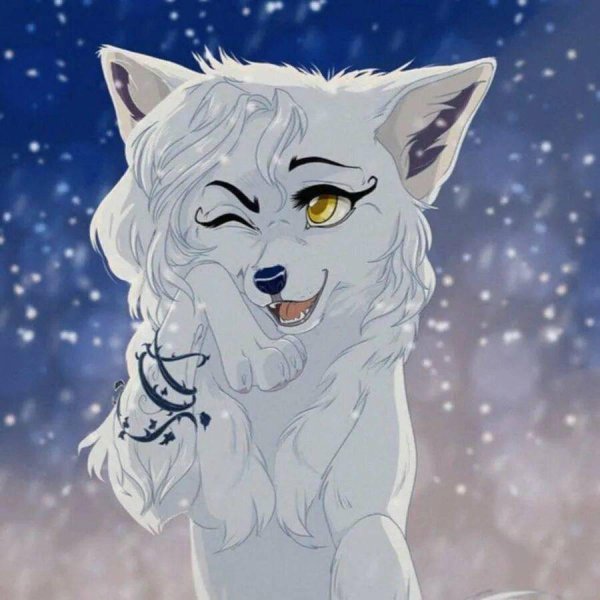 волчица белая