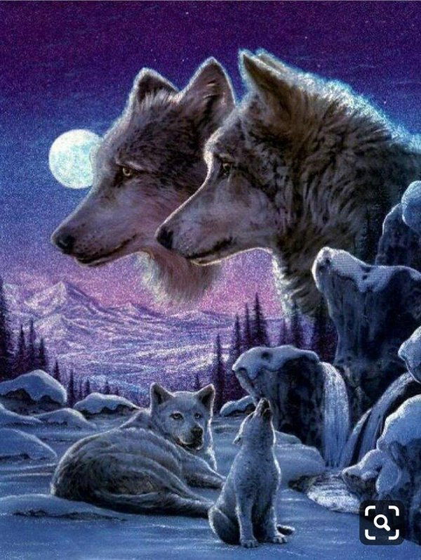 семья волков с волчатами