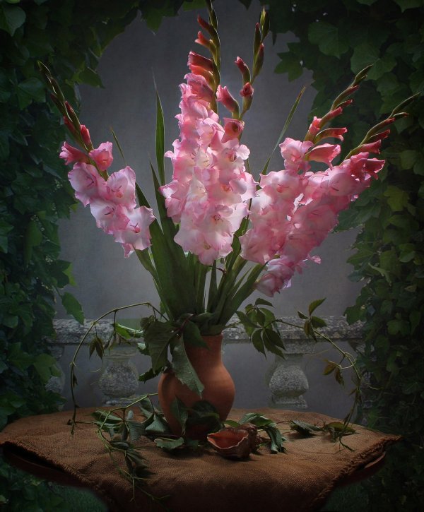 натюрморт с гладиолусами