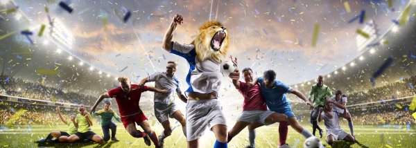 праздник футбола