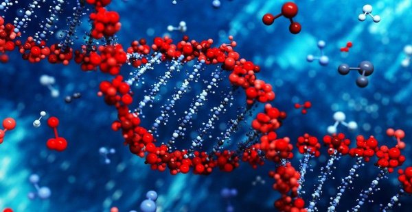 генная инженерия