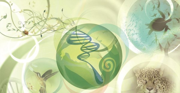 эмблема биологии