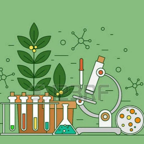 химия лаборатория