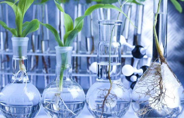 экологическая биотехнология