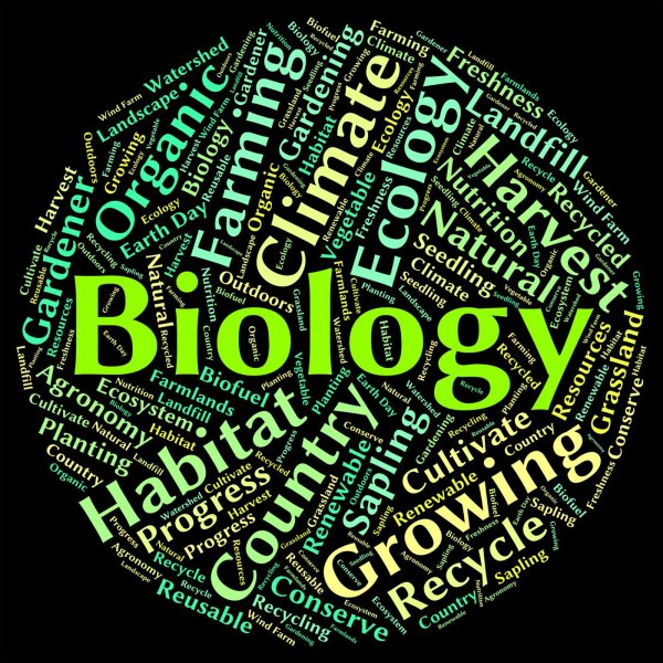 biology words