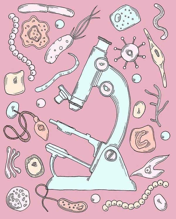 микроскоп мультяшный