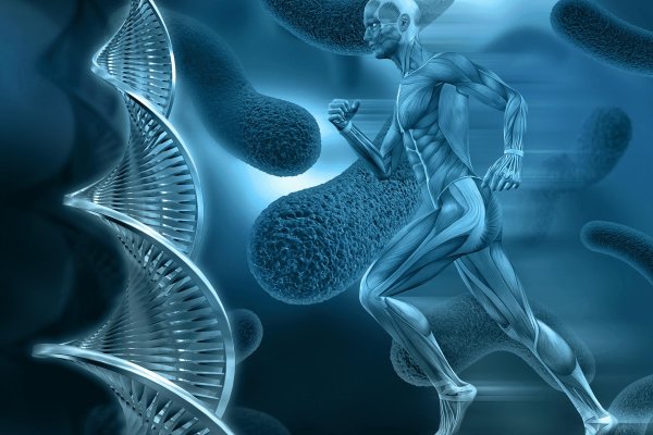спортивная генетика