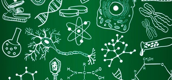 биология изображение