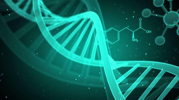 молекула днк