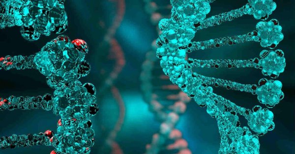 молекулярная биология