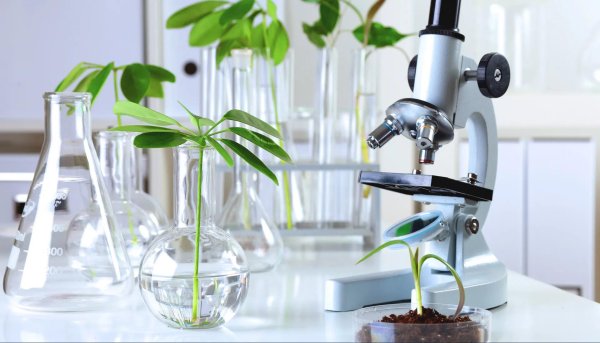 биологическая лаборатория