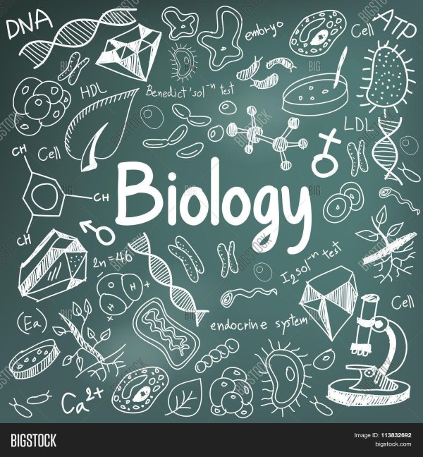 biology biology