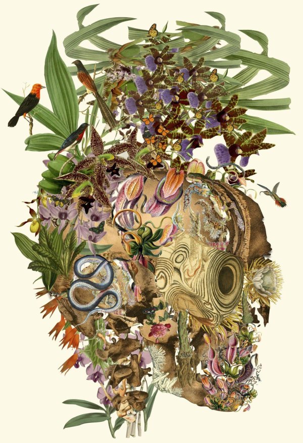 искусство иллюстрации