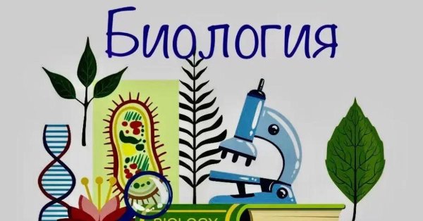 биология школьный предмет