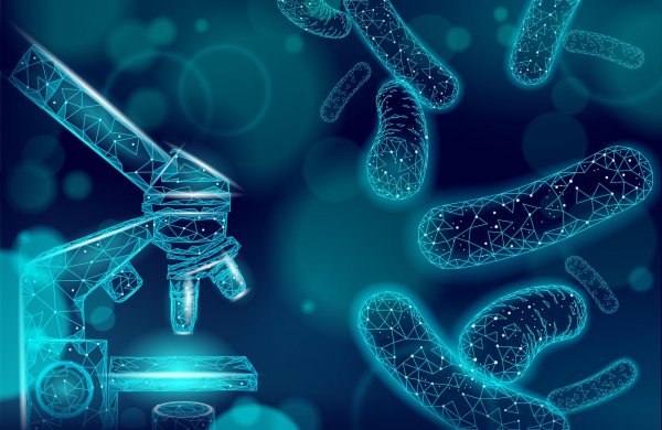 современная наука