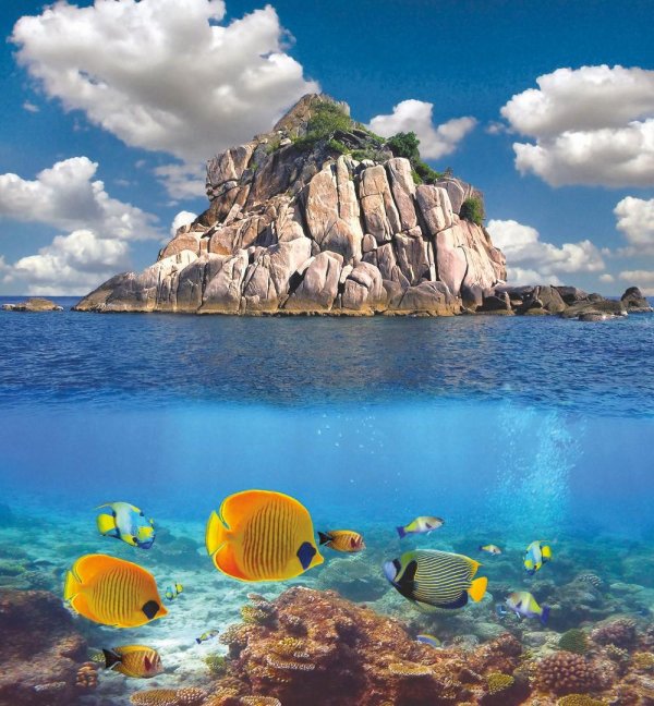 подводный мир