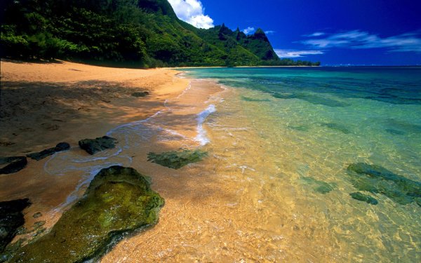 берег океана