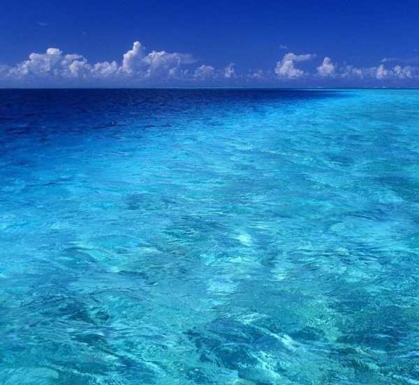 океан красивый