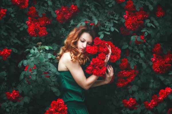 цветы девушка