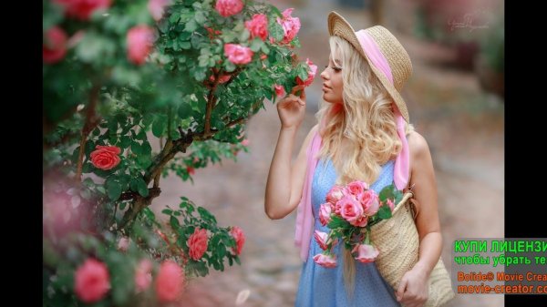 недялкова анастасия сергеевна