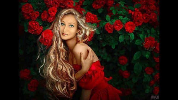 роза девушка
