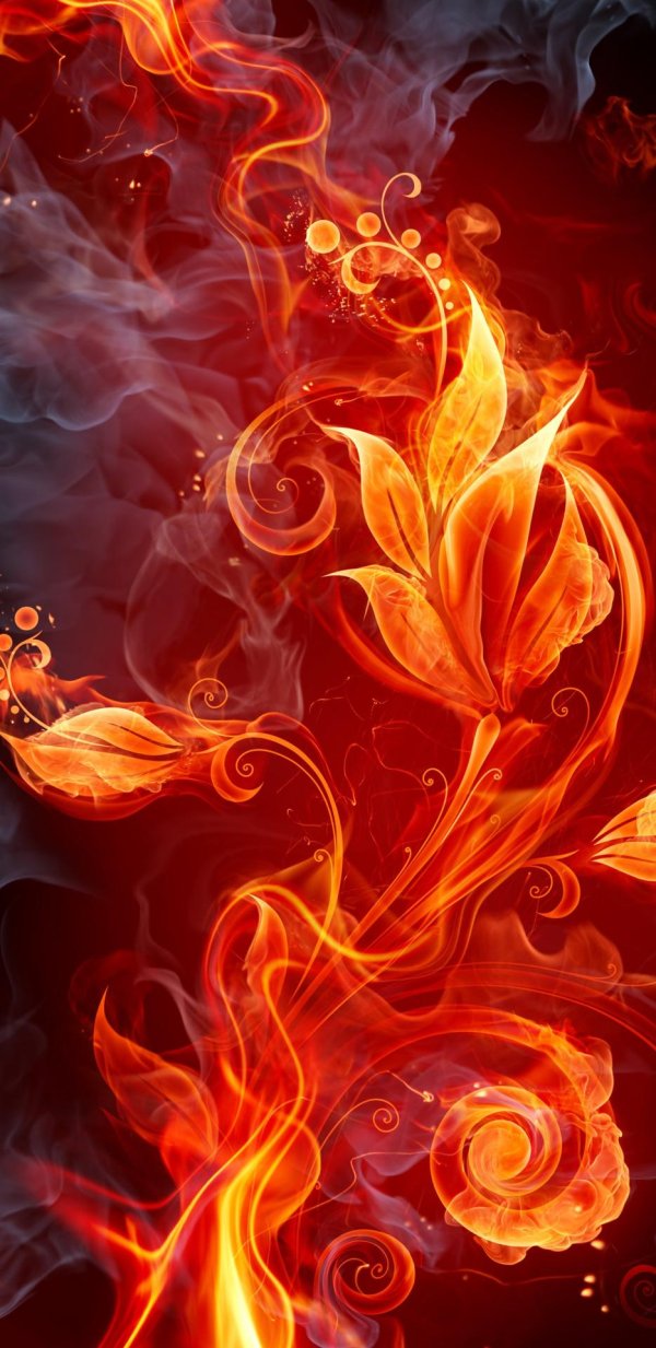 огненные цветы