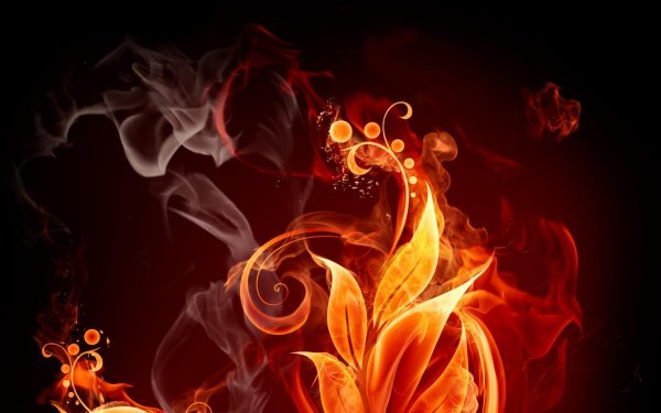 огненные цветы