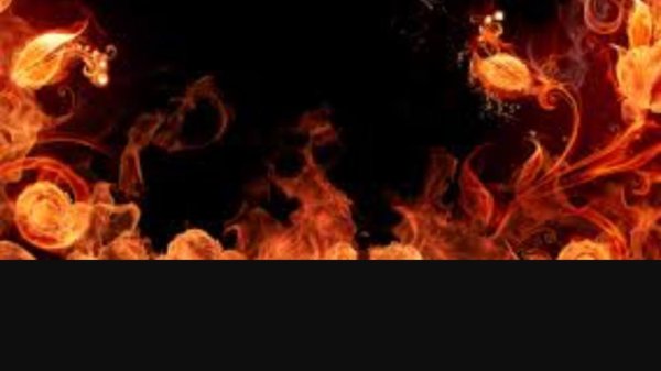 огненные цветы