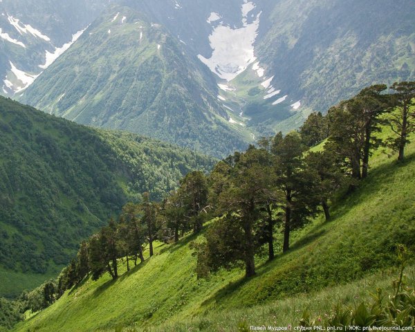 кавказский биосферный заповедник