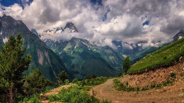 мусса ачитара домбай