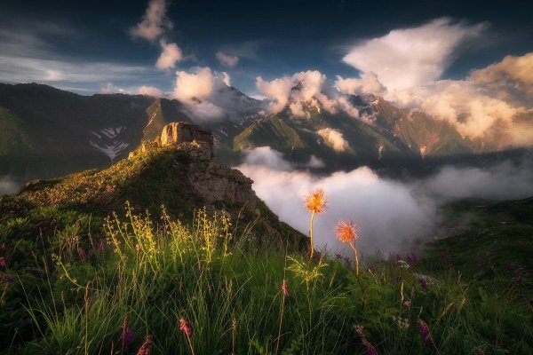 природа кавказ