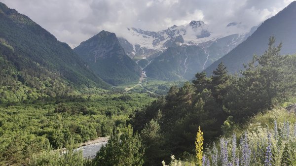 национальный парк алания дигорское ущелье