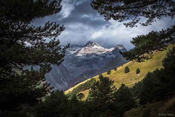 приэльбрусье альпийские луга