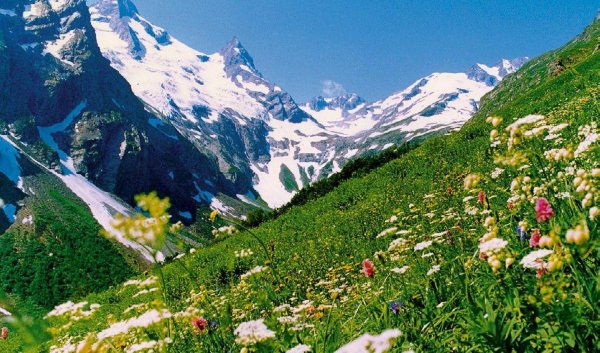 ледник птыш домбай