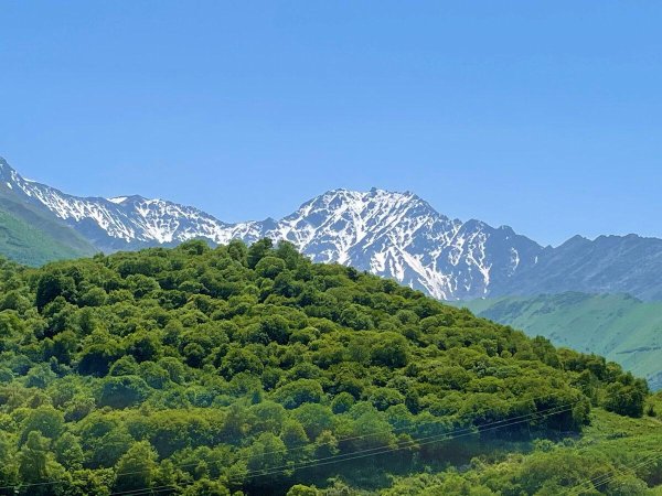 гора мрав нагорный карабах