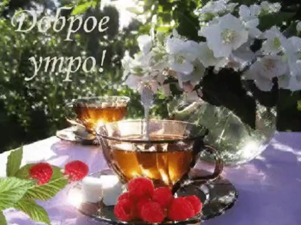 доброго майского утра и хорошего дня