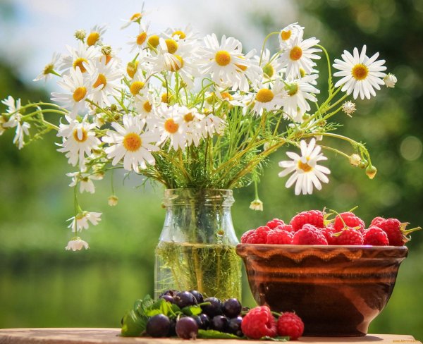 летнего утра