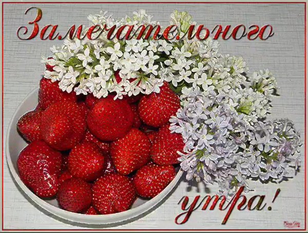 утро открытки доброе