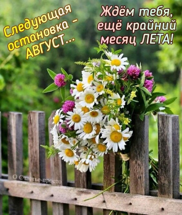 доброго августовского утра