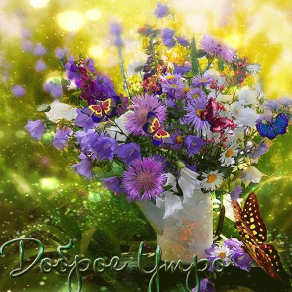 букет полевых цветов