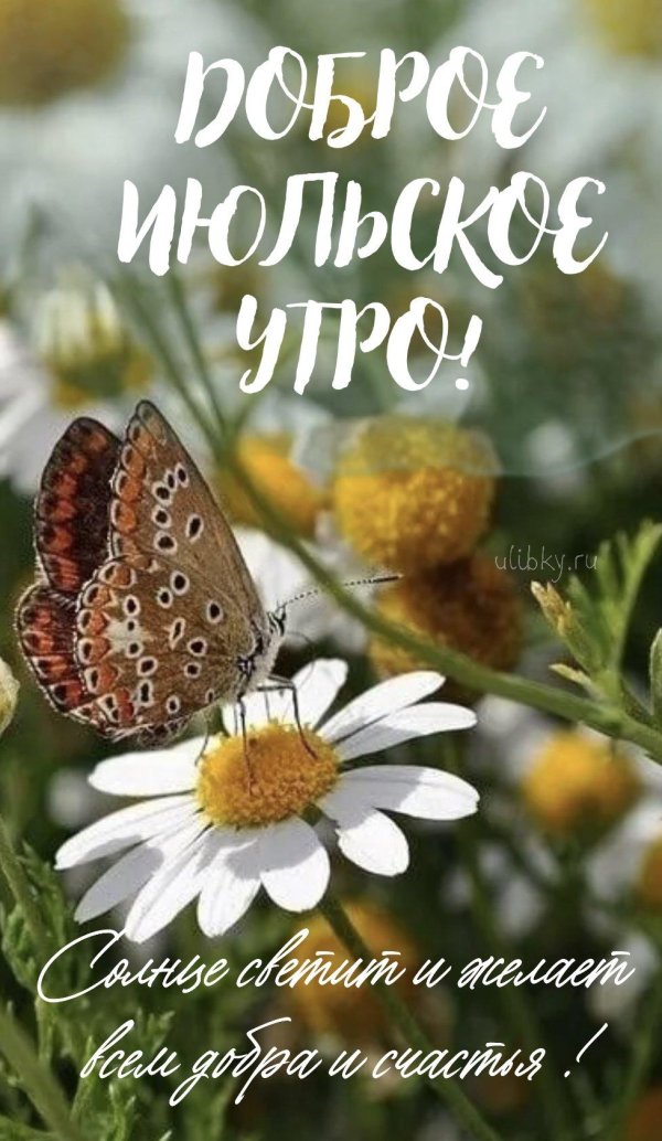 доброе лето