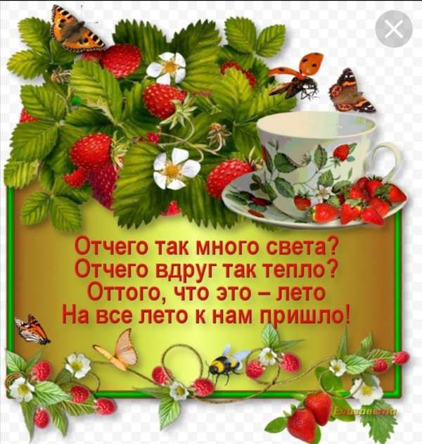 лето пришло