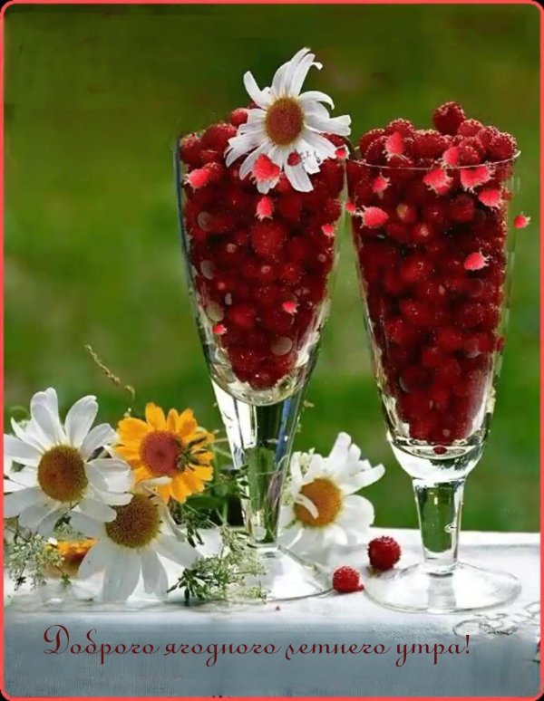 летние ягоды