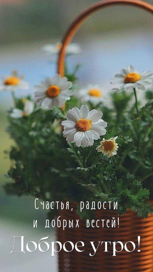доброго утра счастья