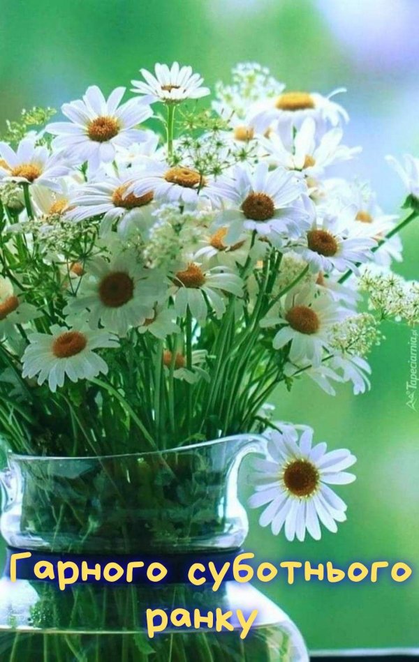 добра утра