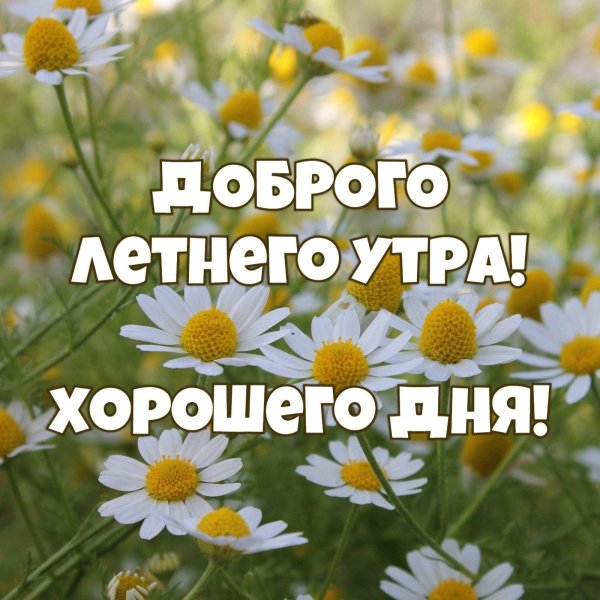 доброго утра лета
