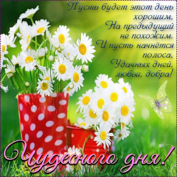 добрые пожелания с добрым утром